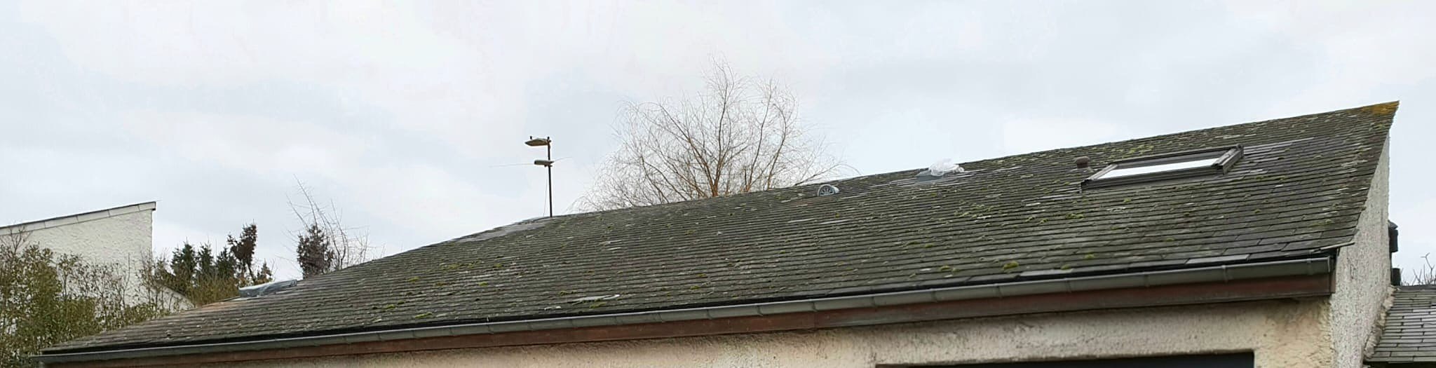 Avant : Toiture en ardoise envahie par les mousses et les lichens.